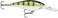Rapala Shad Rap Crankbait, 2-3/4", Yellow Perch