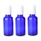 ericotry 3Pcs Refillable Empty Blue Glass Roll-on Roller Bottles with Stainless Steel Roller Balls and White Cap for Essential Oil Perfumes Lip Balms Attar Travel Container ,30ml/1oz