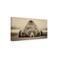 Trademark Fine PHBurchett 'Deep Sleep' Canvas Art