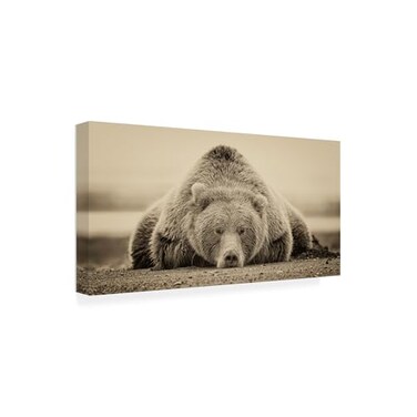 Trademark Fine PHBurchett 'Deep Sleep' Canvas Art
