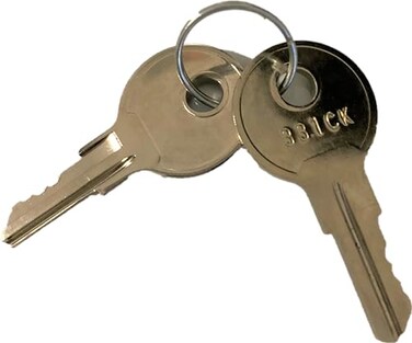 Justrite 25999 2 Piece Safety Cabinet Replacement L Handle Key Set