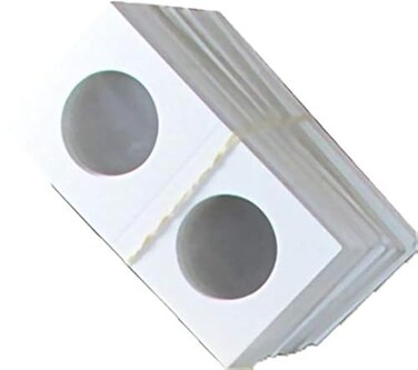 Guardhouse Coin Flips for Large Dollars, 100 Count, 2 x 2 Inch