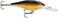 Rapala Shad Rap Crankbait, 3-1/8", Gold