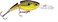 Rapala Jointed Shad Rap Crankbait, 2", Chartreuse Black