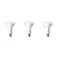 Philips LED Dimmable BR30 Light Bulb: 650-Lumen, 5000-Kelvin, 11-Watt ,65-Watt Equivalent, E26 Base, Frosted, Daylight, 3-Pack