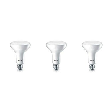 Philips LED Dimmable BR30 Light Bulb: 650-Lumen, 5000-Kelvin, 11-Watt ,65-Watt Equivalent, E26 Base, Frosted, Daylight, 3-Pack