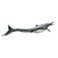 PNSO Dinosaur Museums Series: Ron the Mosasaurus