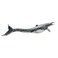 PNSO Dinosaur Museums Series: Ron the Mosasaurus