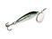 Rapala Blue Fox Vibrax Minnow Spin Tackle, Minnow/Silver, 1/4 ,68-50-608IC