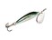 Rapala Blue Fox Vibrax Minnow Spin Tackle, Minnow/Silver, 1/4 ,68-50-608IC