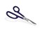 Tandy Leather Craftool¿½ Sure-Grip Shears 3048-00