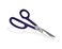 Tandy Leather Craftool¿½ Sure-Grip Shears 3048-00