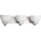 Progress Lighting Appeal 3-Light Bath Vanity Light, Brushed Nickel