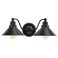Nuvo Lighting 60/1711 Transitional Two Light Vanity from Bridgeview Collection in Bronze/Dark Finish