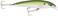 Rapala X-Rap Saltwater 12 Pilchard