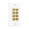 Cable Matters Speaker Wire Wall Plate, 8 Posts for 4 Speakers, White