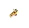 BriggsStratton 692198 Screw