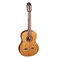 Cordoba C5 Classical w/Solid Cedar Top