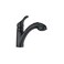 Moen Renzo Matte Black One-Handle Pullout Kitchen or Laundry Faucet Featuring Power Clean, CA87316BL
