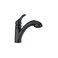 Moen Renzo Matte Black One-Handle Pullout Kitchen or Laundry Faucet Featuring Power Clean, CA87316BL