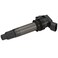 Delphi GN10558 Ignition Coil