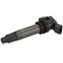 Delphi GN10558 Ignition Coil