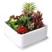 MyGift White Ceramic Square Planter Pot with Drainage HoleDrip Tray
