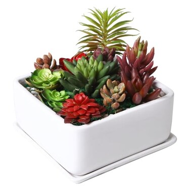 MyGift White Ceramic Square Planter Pot with Drainage HoleDrip Tray