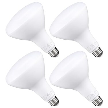 TORCHSTAR 4-Pack BR40 LED Light Bulbs Indoor Flood Light Bulbs 5000K