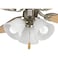 Progress Lighting AirPro 3-Light Ceiling Fan Light Kit, Brushed Nickel