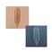 Tandy Leather Craftool 3-D Stamp