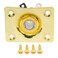 Musiclily Basic 6.35mm Rectangle Guitar Loaded Jack Socket Plate Gold