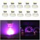 WLJH Pink T3 LED Bulb Neo Wedge 8mm Base for Climate Control Dash Panel