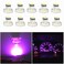 WLJH Pink T3 LED Bulb Neo Wedge 8mm Base for Climate Control Dash Panel