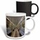 3dRose NYC subway car, empty 11oz Magic Transforming Mug
