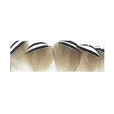 Wapsi Wood Duck Black/White