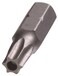Hillman The Group 45808 Security Star Drive Insert Bit