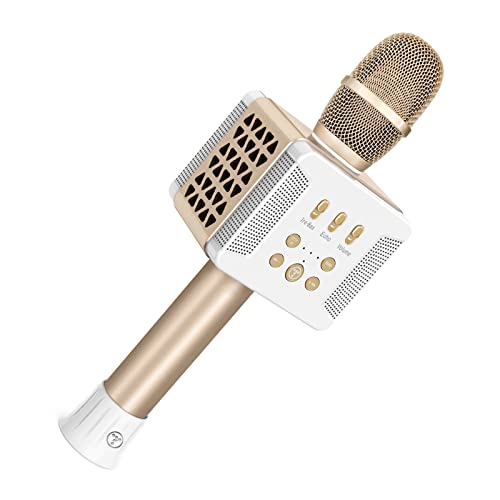 توسينج Tosing 016 Karaoke Microphone 20W