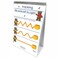 NewPath Learning Writing Readiness Laminated, Double-Sided Write-On/Wipe-Off Flip Chart - Set of 10, 12" x 18" ,32-0024