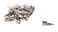 Baumgartens Pencil Clips 100 Pack Chrome ,67953
