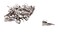 Baumgartens Pencil Clips 100 Pack Chrome ,67953