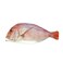 WrapablesNovelty Fish Style Pencil Case, Red
