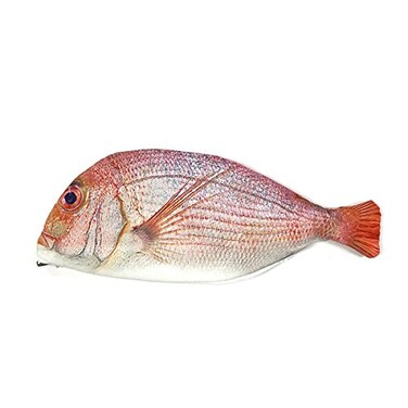WrapablesNovelty Fish Style Pencil Case, Red
