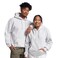 Russell Athletic Men's Dri Power Hooded Pullover Sweatshirt, Ash, Large