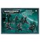 Games Workshop Dark Eldar: Hellions ,2010