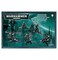 Games Workshop Dark Eldar: Hellions ,2010