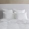 Sferra ARCADIA MEDIUM PILLOW-KING PILLOW 20X36