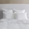 Sferra ARCADIA MEDIUM PILLOW-KING PILLOW 20X36