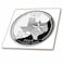 3dRose State Quarter of Texas ,PD-US-Ceramic Tile, 4" ,ct553381