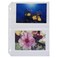 C-Line CLI52564 - Photo Holders, Side Load, Holds 4 Photos, 4x6